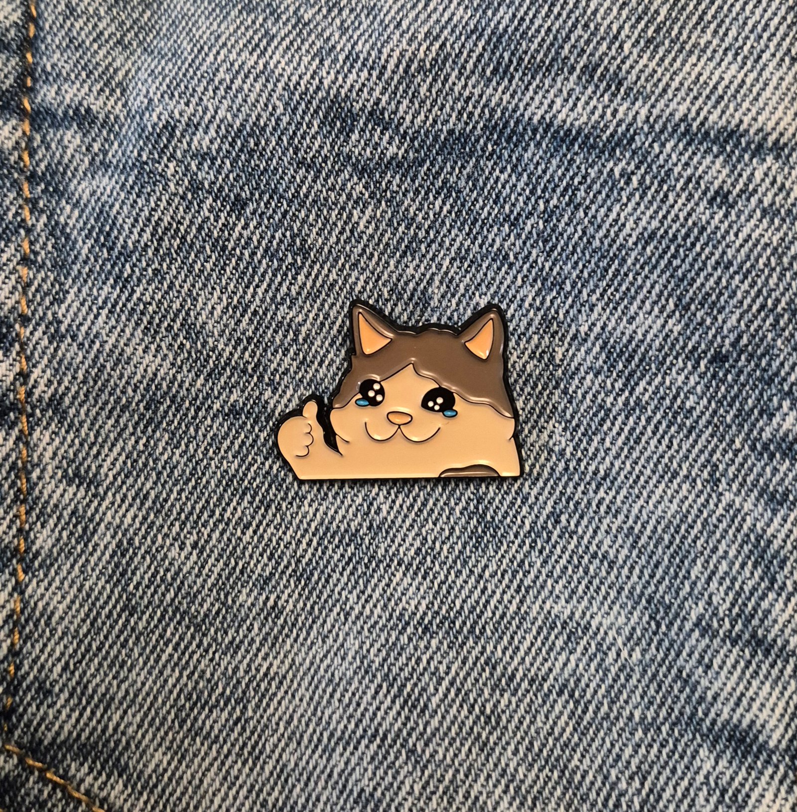 Pin Gato Kiste
